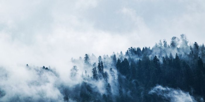 1125x750 Wings Cloud forest BTS Music CC0 - Computer Wallpaper,Mountain