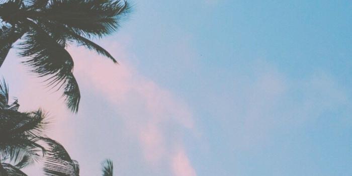 1080x1920 Tumblr Wallpapers ➵ - Chill Iphone Background (#207) - HD Wallpaper