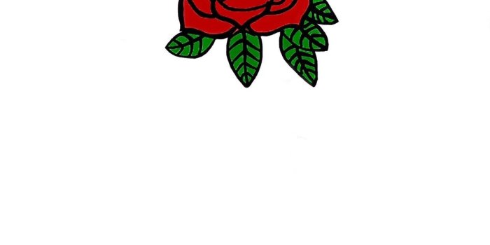 1242x2208 64+ Roses Screensaver Wallpapers on WallpaperPlay