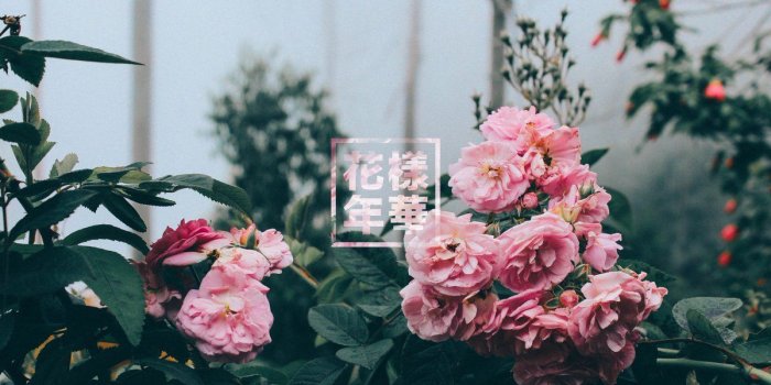 1200x800 cata on Twitter: 