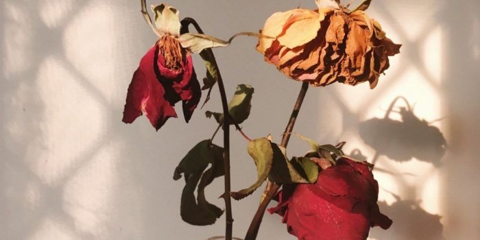 1024x1024 Aesthetic Rose Gold Bedroom Grunge – Ecoamazonico