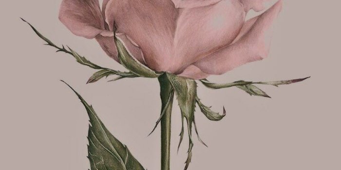 720x1280 Cute Wallpapers, Wallpaper Iphone Vintage, Iphone 7 - Aesthetic Pink