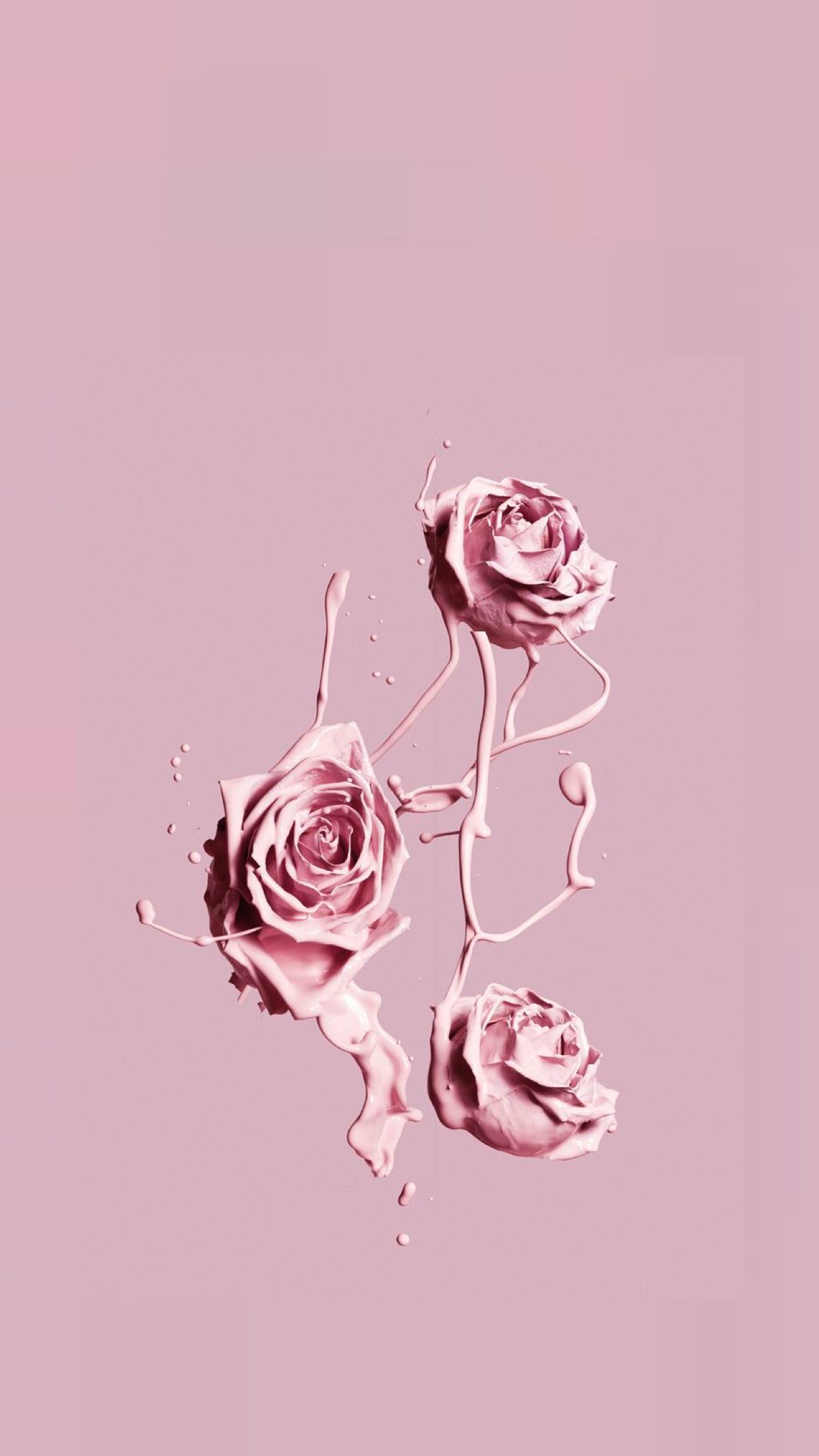 1242x2208 Pastel Aesthetic Rose Wallpapers - Top Free Pastel Aesthetic Rose