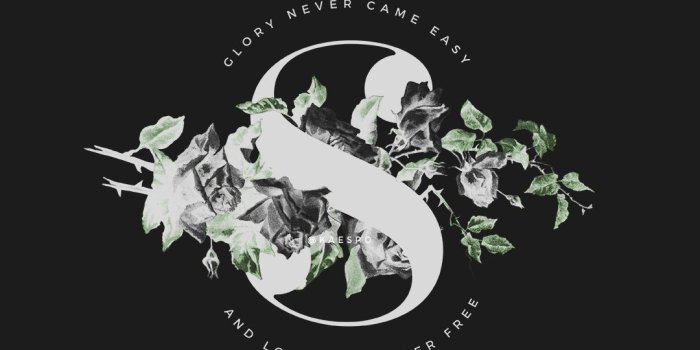 1080x1920 Slytherin Glory + Loyalty Wallpapers | Backgrounds | Harry potter