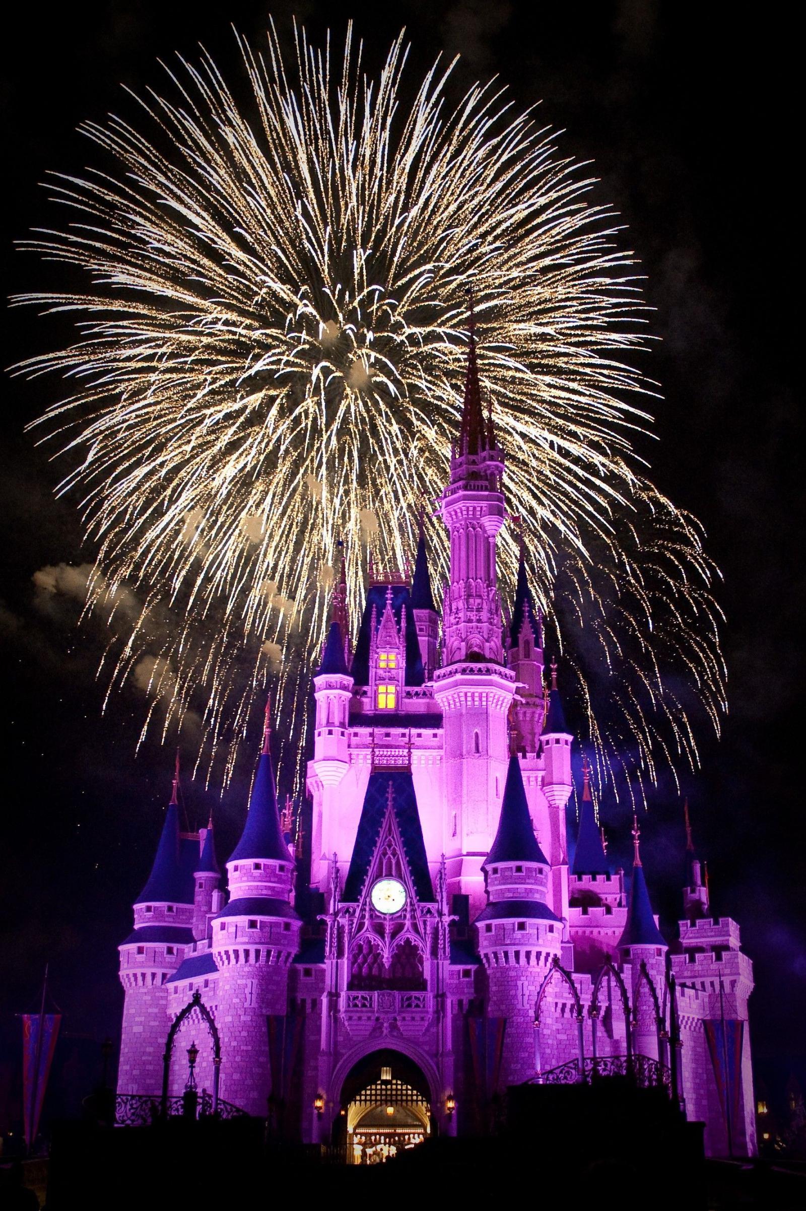 1779x2674 Walt Disney World Magic Kingdom Fireworks Wallpaper | amor | Disney