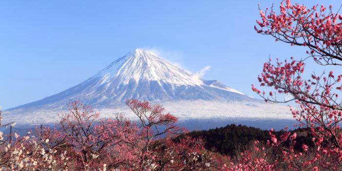2560x1600 15 HD Mount Fuji Japan Wallpapers