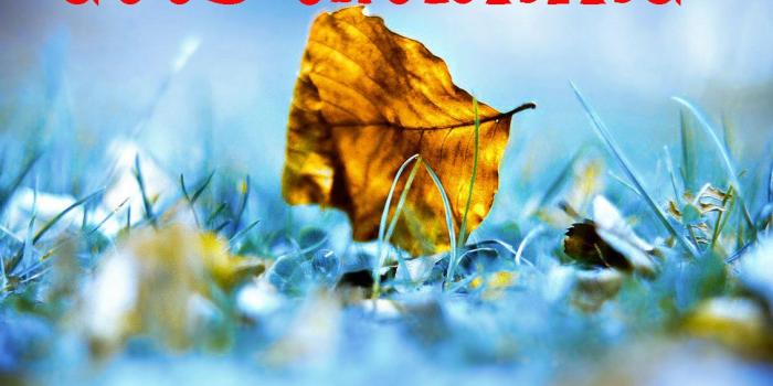 1130x900 235+ Beautiful 3d Good Morning Images Photo Pics HD For FB