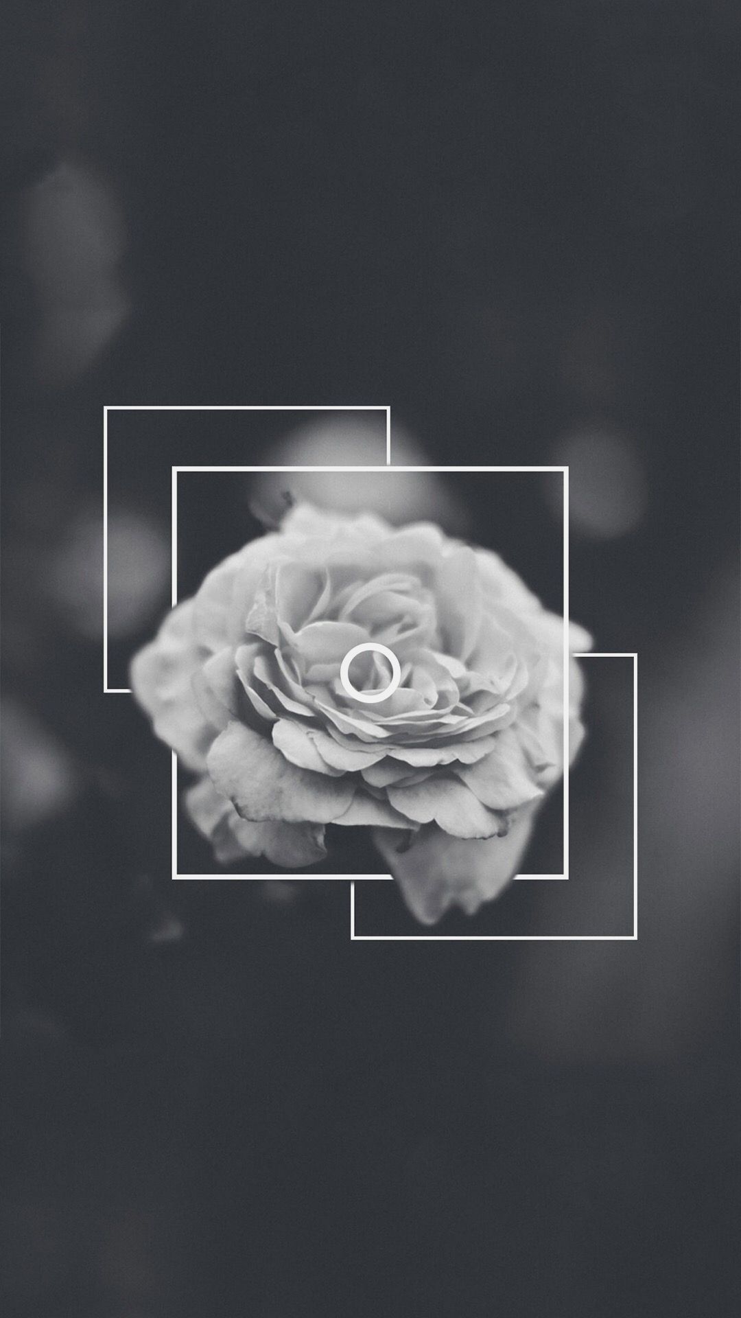 1080x1920 Black Aesthetic Wallpaper - Black Rose Wallpaper Aesthetic Free