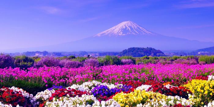 2560x1600 80 Mount Fuji HD Wallpapers | Background Images