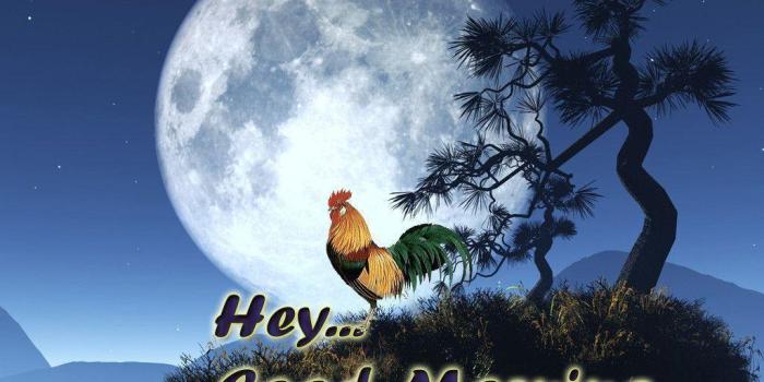 1024x768 Good Morning Wishes Wallpapers