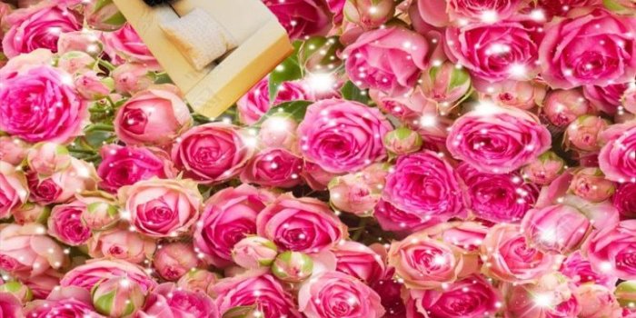 774x1129 US $18.29 41% OFF|beibehang Can be customized indoor classic personality  wallpaper HD aesthetic rose sea suitable for 3D floor zenith 3d  wallpaper-in