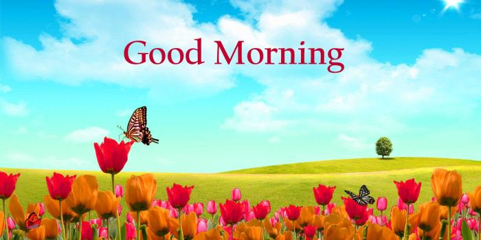 1600x1000 Good Morning Hd Wallpaper 3d - Good Morning Images With Nature Hd