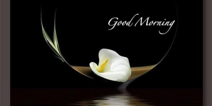 1024x768 75+] Wallpaper For Good Morning on WallpaperSafari