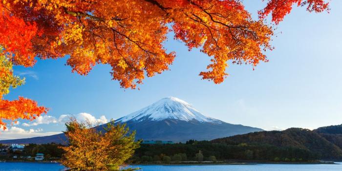 1332x850 Wallpaper autumn, forest, the sky, leaves, snow, trees, lake, Japan