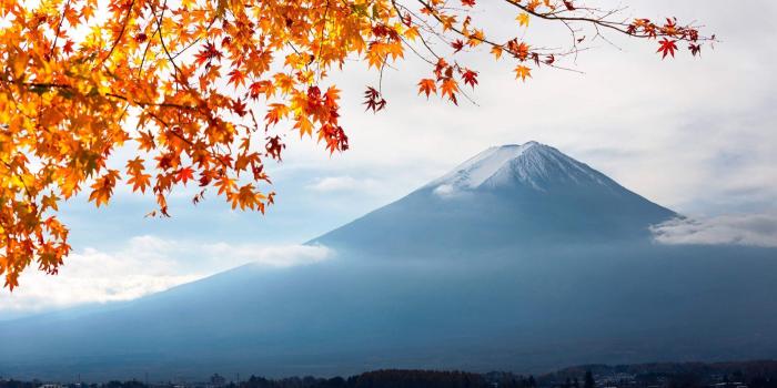 1650x1070 Mount Fuji Wall Mural - Murals Wallpaper