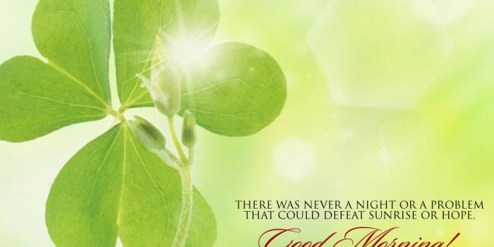 1024x768 Good Morning Wallpaper #51