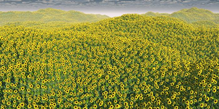 1600x1200 Gud Morning 3d Images. 25 Beautiful Islamic Pictures with Quotes