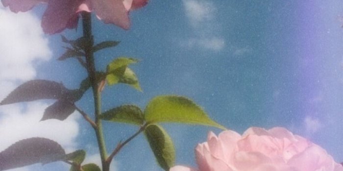 719x1280 iphone wallpaper | Tumblr