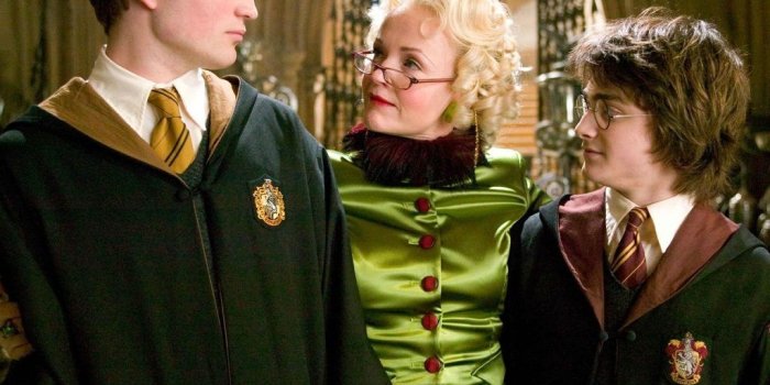 1024x768 Cedric with Harry and Rita - Hufflepuff Photo (28198929) - Fanpop