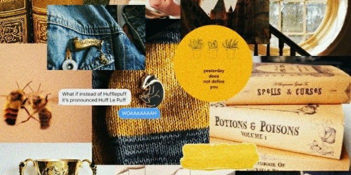 720x1280 You might belong in Hufflepuff, Where they are just and loyal, Those