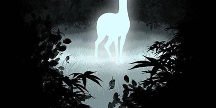 720x1280 Harry Potter Always Wallpaper by StBerkin - 72 - Free on ZEDGE™