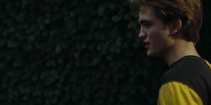 1920x800 Cedric Diggory: ISFJ – The Book Addict's Guide to MBTI: