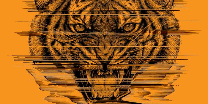 1125x2436 Wallpapers - Primitive Skateboarding