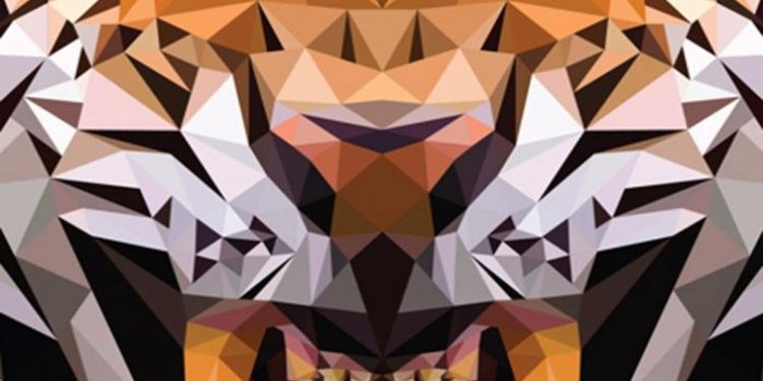 1080x1920 Gucci Tiger Wallpapers - Top Free Gucci Tiger Backgrounds