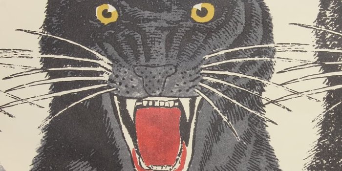 962x1088 Tiger Face Printed Wallpaper - Gucci | mytheresa.com