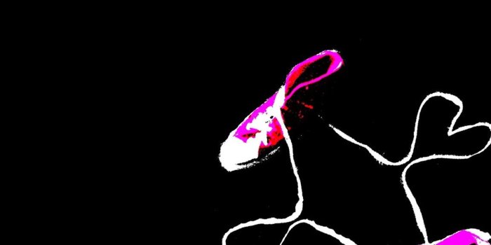 1152x864 Download Standart 4:3 1152x864 - Converse Wallpaper