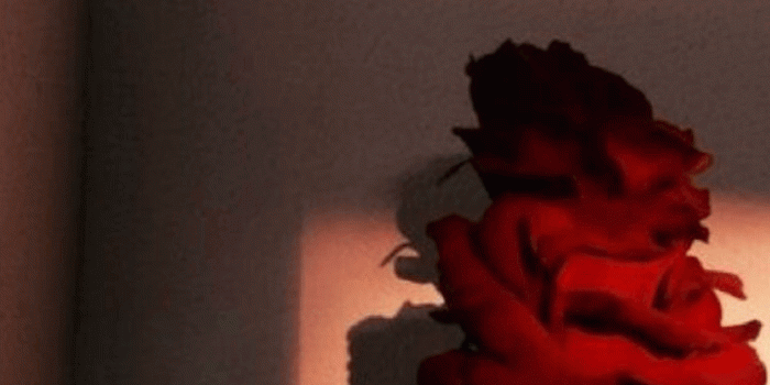 719x1280 harry potter lockscreen | Tumblr