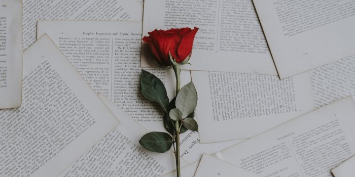 1366x768 1366x768 Wallpaper rose, books, texts | Roses | Cute laptop