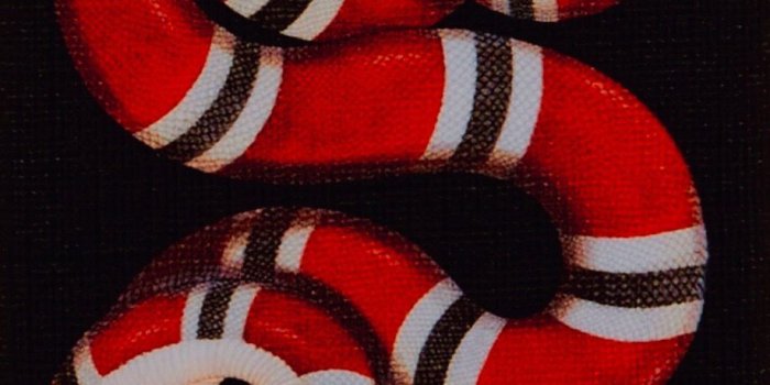 918x1890 Gucci shake wallpaper iPhone X | Wallpaper tops ⚡️ in 2019 | Gucci