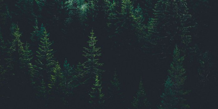 1512x2688 Best Dark or Black iPhone Wallpapers - Night iPhone Backgrounds