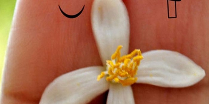 1242x2208 Cute Cartoon Love Wallpapers For Mobile Gallery (70+ images)