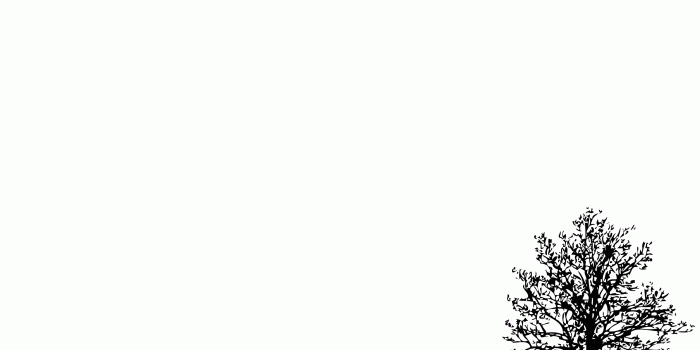 2560x1600 White Desktop Background - home decor photos gallery