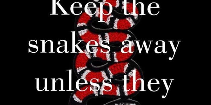736x1308 Keep the snakes away unless they gucci wallpaper:: GUCCI Art