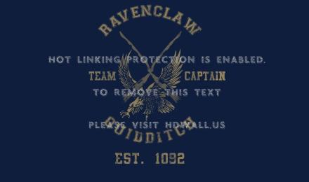 1366x768 harry potter quidditch hogwarts ravenclaw