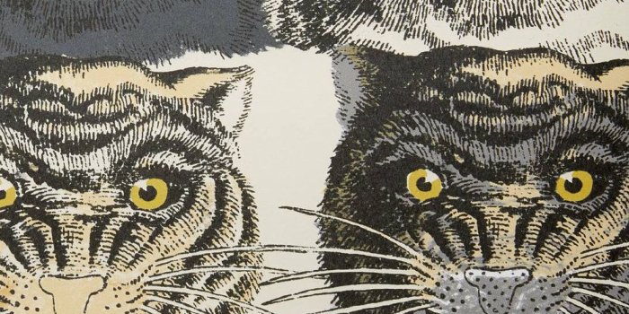 1000x1000 Edition KLFW