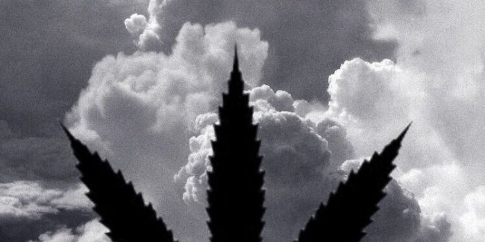 750x1332 Lisa Simpson Stoned wallpaper | weed in 2019 | Stone wallpaper, Weed