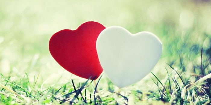 1100x1100 Romantic Love Live Wallpaper for Android - APK Download