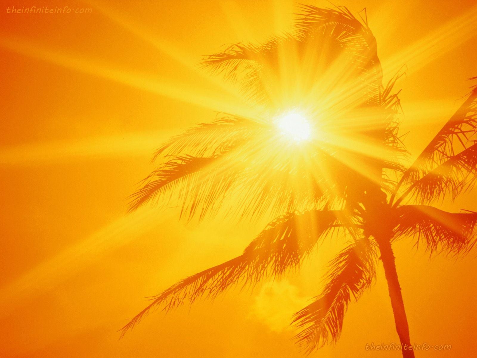 1600x1200 Beautiful Sunshine Wallpapers in High Resolution and HD | Sun