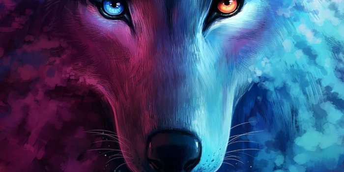 744x1392 Galaxy Wolf Wallpapers