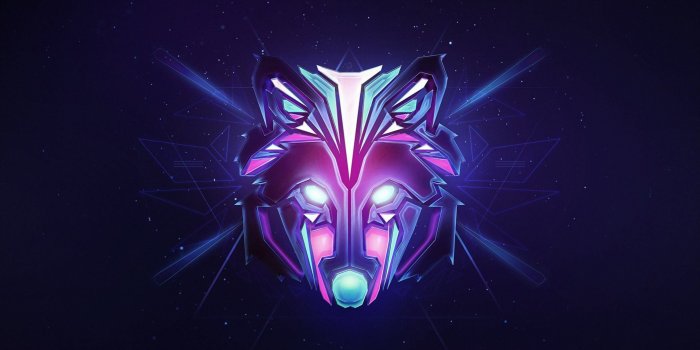 3840x2160 Galaxy Wolf Wallpapers