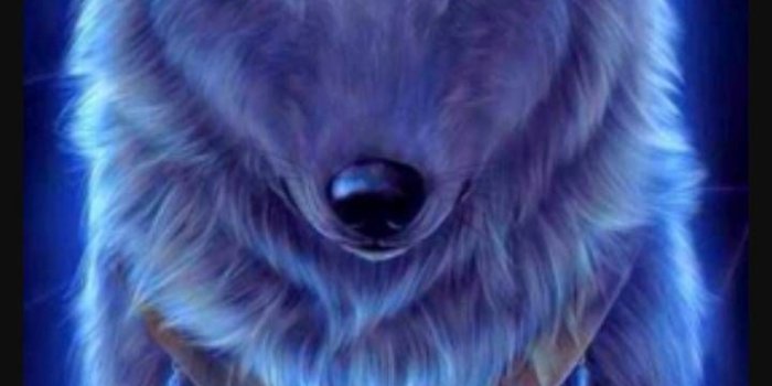 720x1280 Running Wolf Fantasy wallpaper