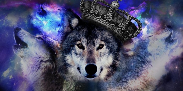 2880x1800 80+ Galaxy Wolf Wallpapers on WallpaperPlay