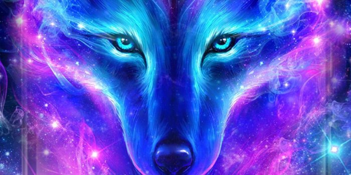 1080x1920 Night Sky Wolf Live Wallpaper for Android - APK Download
