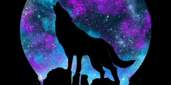 736x1308 Monkey's Nana on Wolves! | Wolf wallpaper, Animal drawings, Wolf