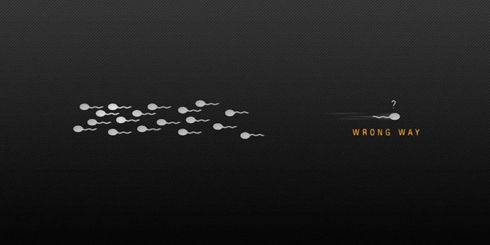 1440x1080 Funny Quote Wallpapers, Pictures, Images