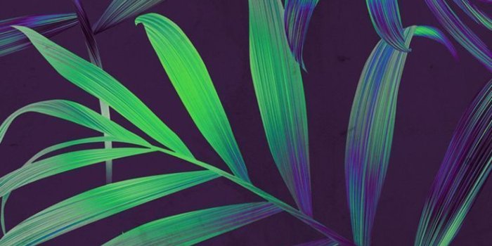 736x1369 Unique iPhone Wallpapers - Top Free Unique iPhone Backgrounds -  WallpaperAccess